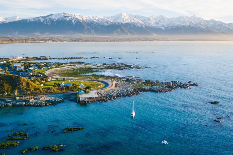 kaikoura priavte tour