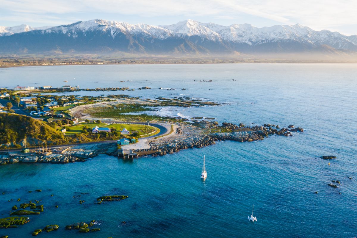 Introducing our Kaikōura Day Tour