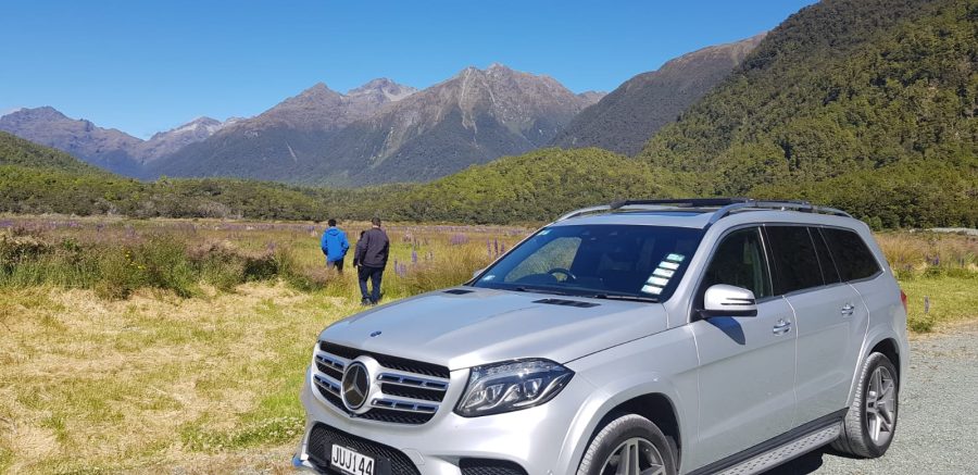 Private sights tour New Zealand