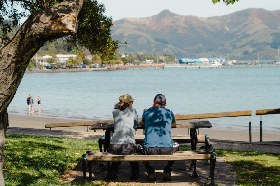 harbour picnic on priavte tour of akaroa