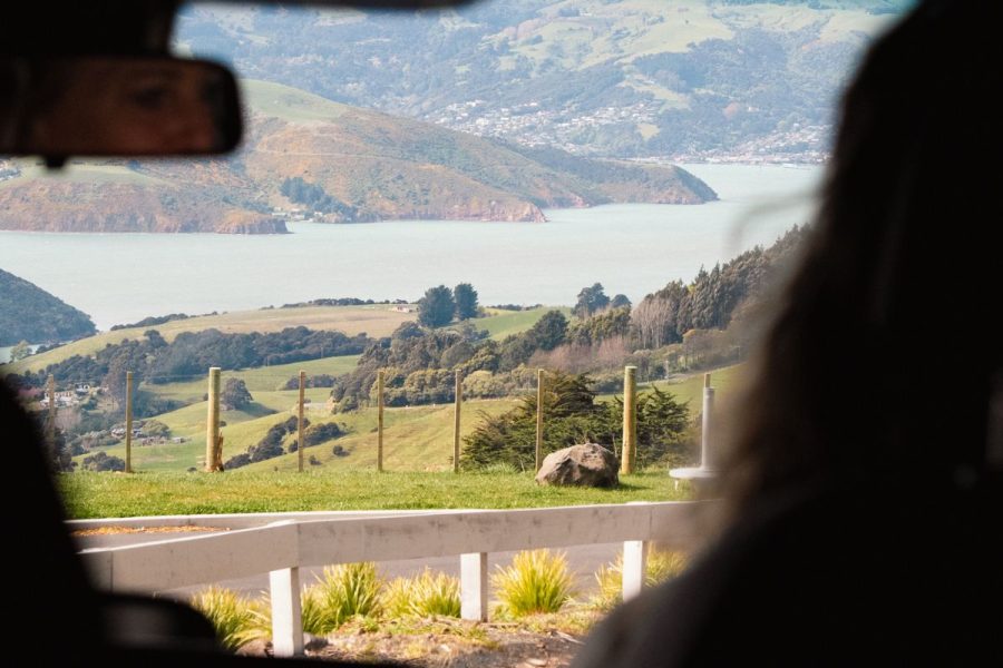 Akaroa private tour