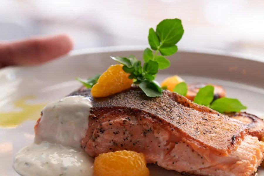 Evening penguin tour dinner Ma Maison